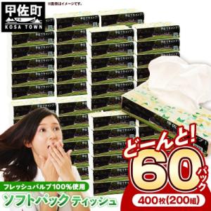 ふるさと納税 甲佐町 ティッシュペーパーソフトパック　400枚(200組)60パック【ZA】