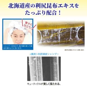 ふるさと納税 糸島市 【10本入】[薬用]利尻...の詳細画像2