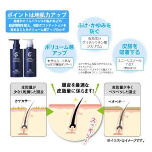 ふるさと納税 糸島市 【10本入】[薬用]利尻...の詳細画像3