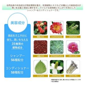 ふるさと納税 糸島市 【全6回定期便】[薬用]...の詳細画像2