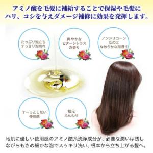 ふるさと納税 糸島市 【全12回定期便】[薬用...の詳細画像3
