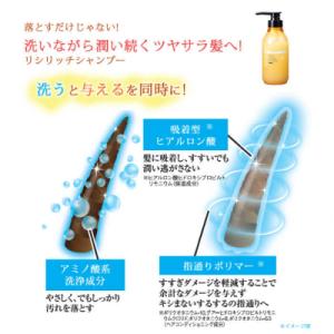 ふるさと納税 糸島市 【全12回定期便】[2本...の詳細画像3