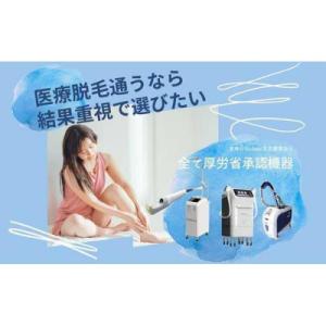 ふるさと納税 名古屋市 【女性医療脱毛】VIO...の詳細画像3