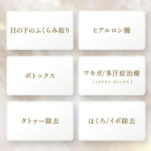 ふるさと納税 名古屋市 美容医療 脱毛・美肌 ...の詳細画像2
