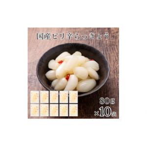 ふるさと納税 小松市 国産ピリ辛らっきょう 10袋セット らっきょう漬け 漬物