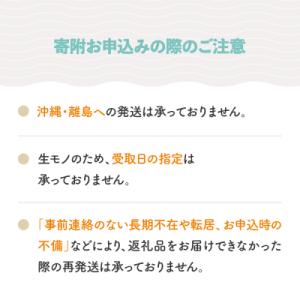 ふるさと納税 大石田町 大玉 すいか しまむそ...の詳細画像1