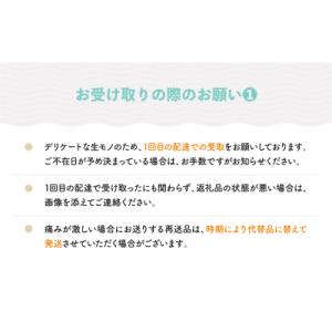 ふるさと納税 大石田町 大玉 すいか しまむそ...の詳細画像2