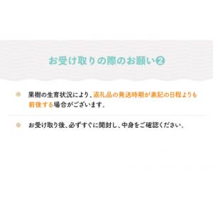 ふるさと納税 大石田町 大玉 すいか しまむそ...の詳細画像3