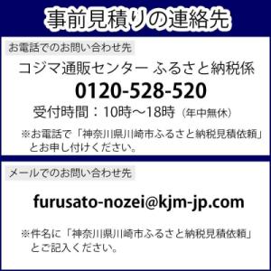ふるさと納税 川崎市 TVS REGZA【標準...の詳細画像2
