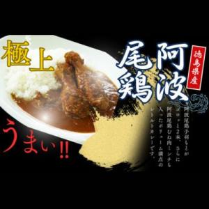 ふるさと納税 美波町 阿波尾鶏骨付地鶏カレー 30食の商品画像