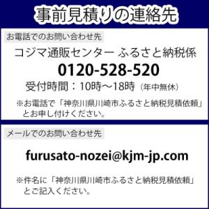ふるさと納税 川崎市 Hisense 【標準設...の詳細画像2