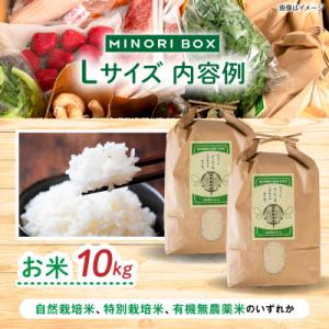 ふるさと納税 糸島市 【全4回定期便】糸島産 ...の詳細画像1
