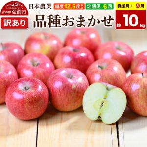 ふるさと納税 弘前市 《定期便6ヶ月》りんご 品...の商品画像