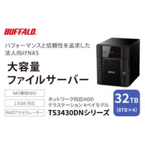 ふるさと納税 名古屋市 BUFFALO Tera...の商品画像