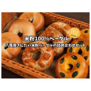 ふるさと納税 八尾市 米粉ベーグル詰め合わせセット【グルテンフリー・冷凍】(B306)
