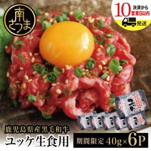 【鹿児島県産】黒毛和牛ユッケ 40g×5P タレ付 生食認定工場 カミチク