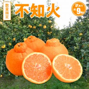 〈先行受付〉訳あり 不知火 約9kg 数量限定_S086-007A