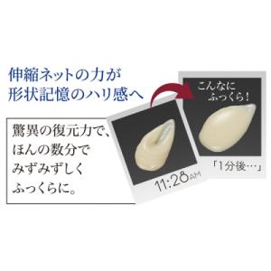 ふるさと納税 横浜市 ストレピア プラチナリフ...の詳細画像3