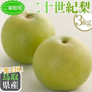二十世紀梨(家庭用) 3kg【Y's Farm Tottori】