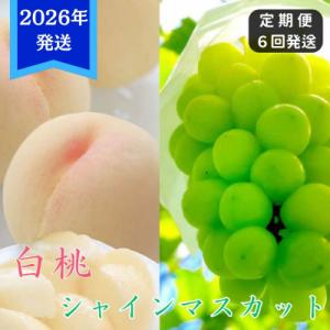 ふるさと納税 瀬戸内市 【先行受付】6回 定期便 白桃 シャインマスカット 晴王 岡山県産[No.5735-3336]