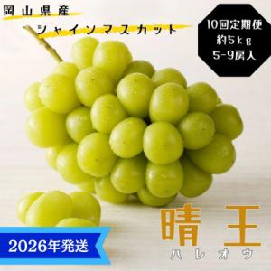 ふるさと納税 瀬戸内市 【先行受付】10回定期便 シャインマスカット 晴王 秀品 大房 岡山県産[No.5735-3344]