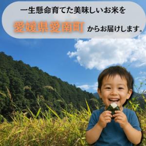 ふるさと納税 愛南町 令和8年産 新米 にじの...の詳細画像1