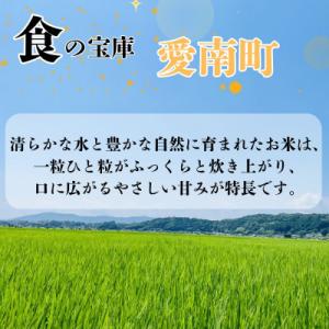 ふるさと納税 愛南町 令和8年産 新米 にじの...の詳細画像2
