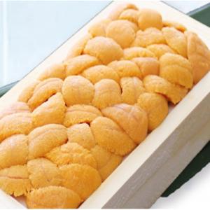 ふるさと納税 根室市 エゾバフンウニ(黄〜赤)100〜110g[2026年3月上旬以降発送] A-7...