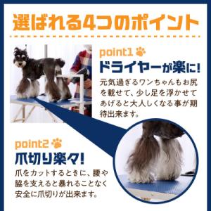 ふるさと納税 小牧市 グルーミングアシスト(犬...の詳細画像1