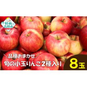 先行受付 旬の小玉りんご 2種8個入り 家庭用 りんご 訳あり フルーツ 果物 旬 完熟