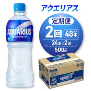 ふるさと納税 札幌市 【2ヶ月定期便】アクエリアス500mlPET×24本_hs137-098