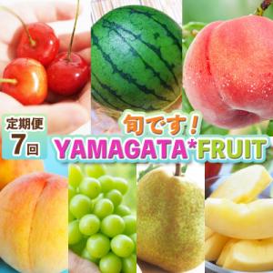 ふるさと納税 山形市 【定期便7回】旬です!YAMAGATA*FRUIT FZ25-285