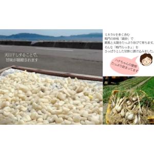 ふるさと納税 鳴門市 鳴門らっきょう甘酢漬けの詳細画像2
