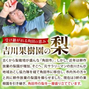 ふるさと納税 角田市 【先行予約(2026年発...の詳細画像1