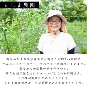 ふるさと納税 鹿角市 鹿角産 高原りんごジュー...の詳細画像3