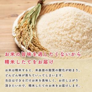 ふるさと納税 男鹿市 《定期便12ヶ月》令和7...の詳細画像2