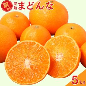 【先行予約】 訳あり 完熟まどんな 5kg サイズミックス 中山農園 愛媛県 愛南町