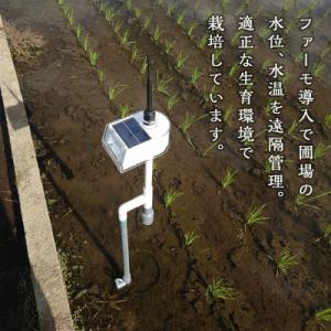 ふるさと納税 八千代町 令和8年産 茨城県産 ...の詳細画像1