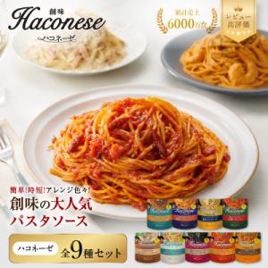 【創味】ハコネーゼ全9種 9個セット