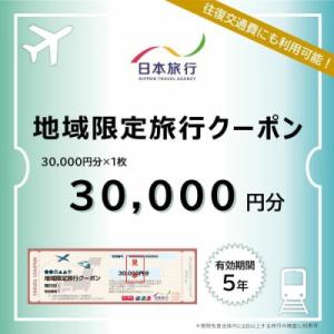 ふるさと納税 四万十市 【高知県四万十市】日本旅行 地域限定旅行クーポン 30,000円分