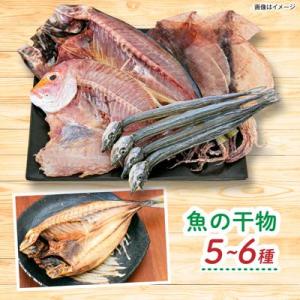 ふるさと納税 糸島市 全6回定期便 糸島産 魚...の詳細画像2