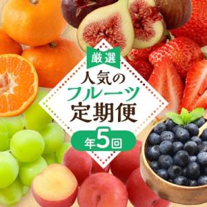 【定期便/年5回】JAむなかた厳選!人気フルーツ定期便【JAむなかた ほたるの里】_HB0164