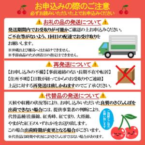 ふるさと納税 山形市 【定期便6回】山形フルー...の詳細画像2