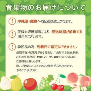 ふるさと納税 山形市 【定期便6回】山形フルー...の詳細画像3