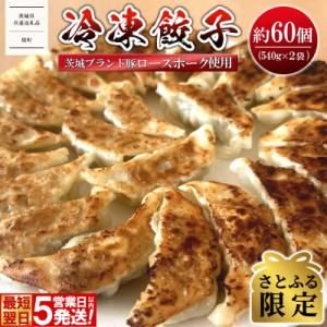 【さとふる限定】 ◎最短翌日発送◎ ローズポーク使用 冷凍餃子 約60個 〈茨城県共通返礼品〉