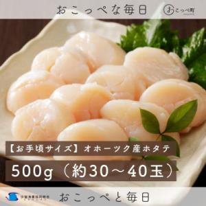 ふるさと納税 興部町 【お手頃サイズ】オホーツク産ホタテ500g【400】