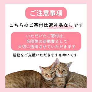 ふるさと納税 小郡市 保護猫活動を応援! 返礼...の詳細画像1