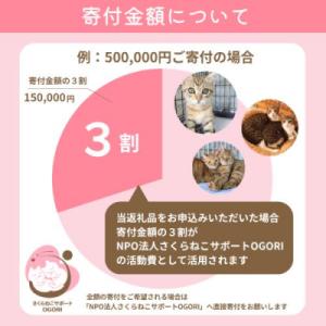 ふるさと納税 小郡市 保護猫活動を応援! 返礼...の詳細画像2