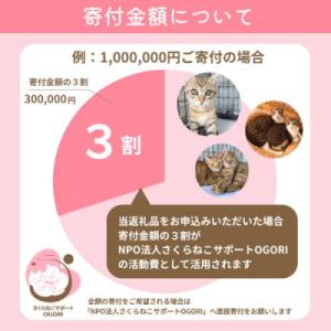 ふるさと納税 小郡市 保護猫活動を応援! 返礼...の詳細画像2