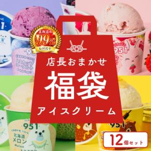 【福袋】951アイスクリーム　12個セット_hs359-031